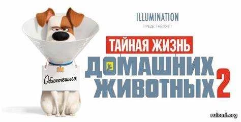 Скачать мультфильм домашних животных торрент Full HD бесплатно
