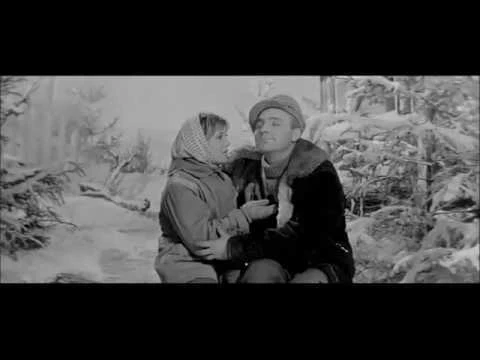 Кто исполнял песню старый клен в фильме Девчата