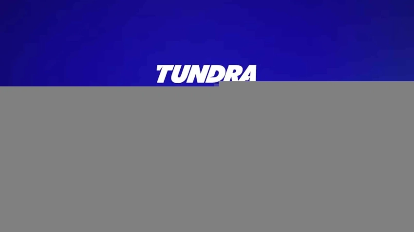 Британская Tundra разгромила OG в матче за выход в полуфинал DreamLeague 27 по Dota 2